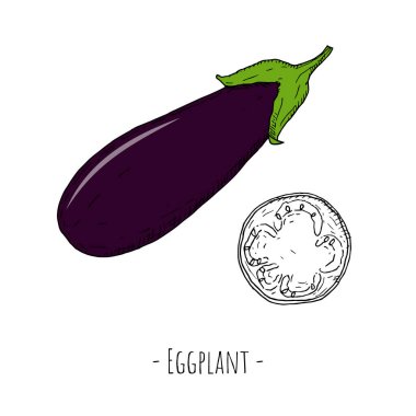 Tam patlıcan ve patlıcan dilimi. Vektör karikatür çizimleri. Beyaz arkaplandaki izole nesneler. Elle çizilmiş biçim.