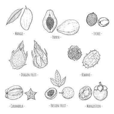 Tropik meyve seti. Vektör karikatür çizimleri. Beyaz üzerine izole nesneler. Elle çizilmiş biçim.