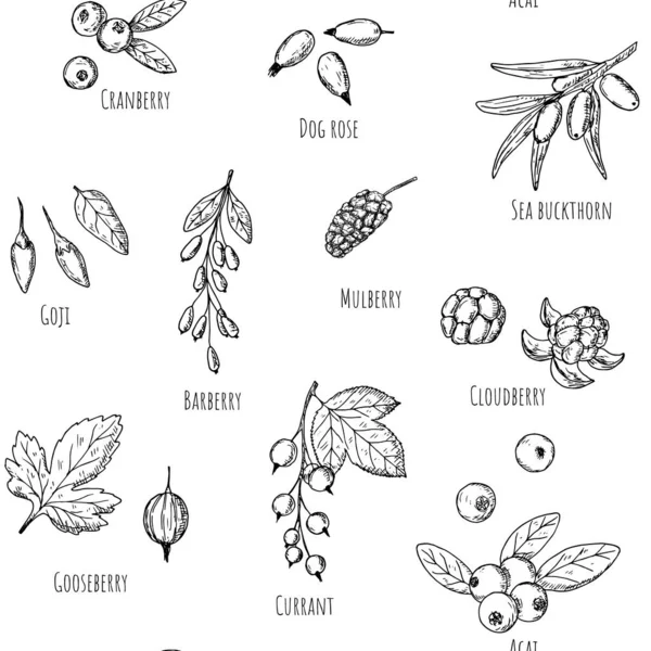 Modello Senza Soluzione Continuità Bacche Sfondo Cartone Animato Vettoriale Disegnati — Vettoriale Stock