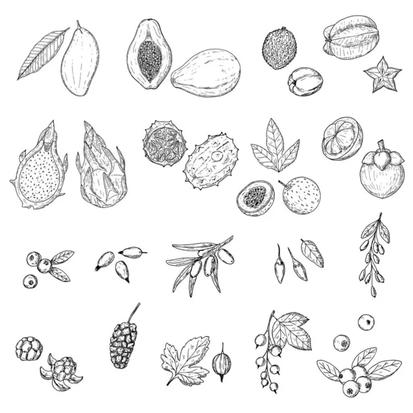 Frutas Bayas Ilustraciones Dibujos Animados Vectoriales Objetos Aislados Sobre Fondo — Archivo Imágenes Vectoriales