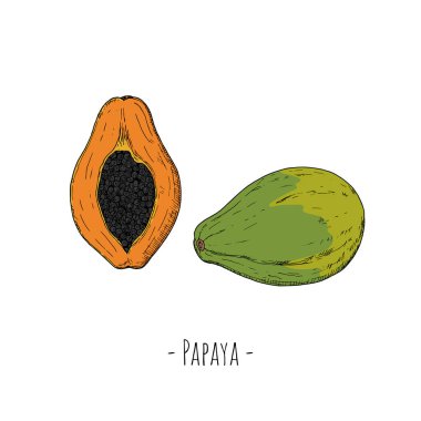 Tam papaya ve papaya yarısı. Vektör karikatür çizimi. Beyaz üzerine izole nesneler. Elle çizilmiş biçim.