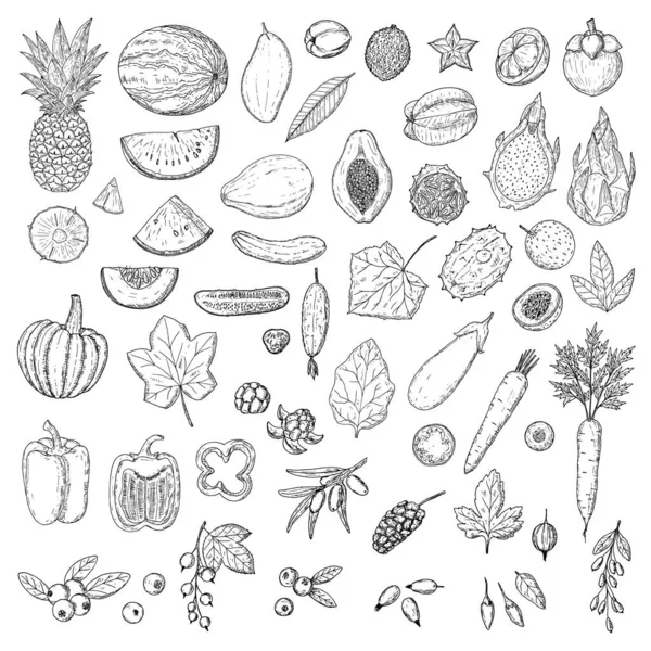一组水果 蔬菜和浆果 白色上孤立的物体 矢量卡通画 手绘风格 — 图库矢量图片