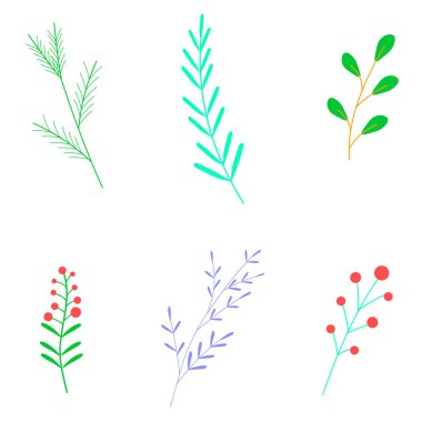 Çiçek elementleri seti. Dalların ve bitkilerin vektör çizimleri. Beyaz üzerine izole nesneler. Düz tasarım.