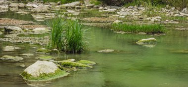 Rzeka Bidente przeplywajaca przez srodkowe Wlochy Bölgesi Emilia Romagna.