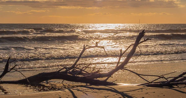 Een Prachtig Stuk Strand Verlicht Door Opkomende Zon Gezien Adriatische — Stockfoto