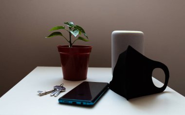 Üzerinde anahtarlar, siyah yeniden kullanılabilir maske, akıllı bir hoparlör ve küçük bir bitki olan beyaz bir komodinin üstündeki mavi akıllı telefon.