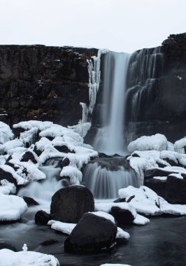 Karla kaplı volkanik siyah kayalardan akan inanılmaz şelale.