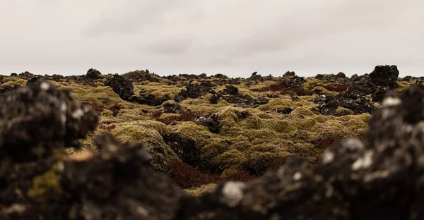 Isländska Vulkaniska Bergslandskapet Täckt Med Grön Mossa — Stockfoto