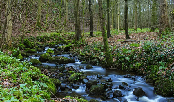 Forest River Wasserfall Ansicht Großbritannien Wilder Fluss Fließt Durch Den — Stockfoto