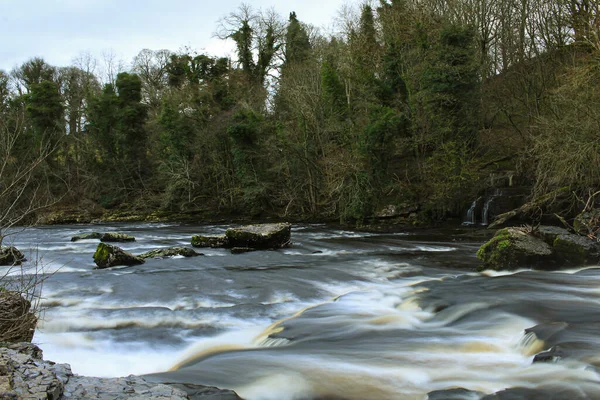 Utsikt Över Vattenfallet Forest River Storbritannien Vild Flod Som Rinner — Stockfoto