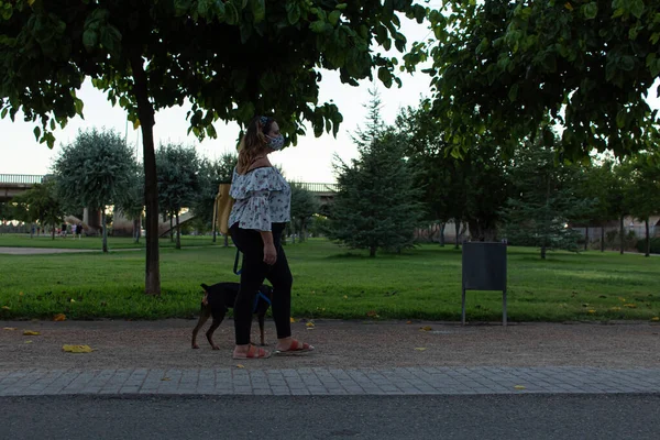 Atraktivní Mladá Žena Bílou Košilí Obličejovou Maskou Psem Procházejícím Parku — Stock fotografie