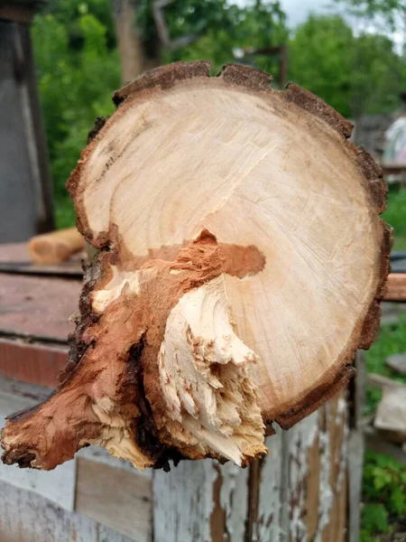 Mooie Donkergele Bruin Gesneden Peer Mijn Tuin Zomer — Stockfoto