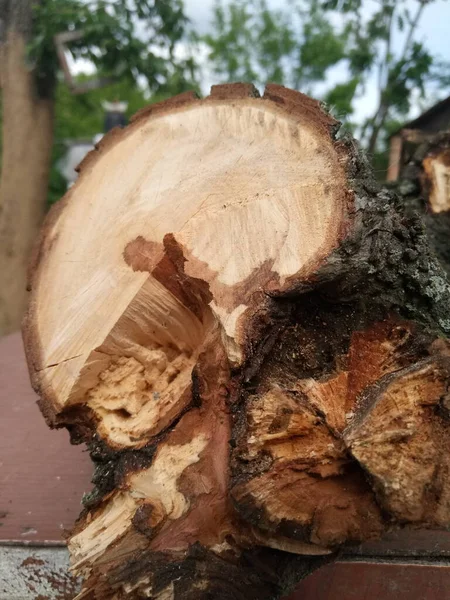 Mooie Donkergele Bruine Gezaagde Droge Peren Mijn Tuin — Stockfoto