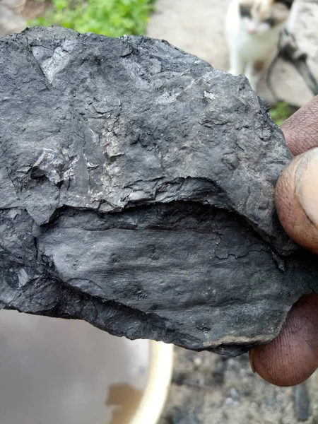 Restos Fosilizados Plantas Carbón Negro Millones Años Antiguo — Foto de Stock
