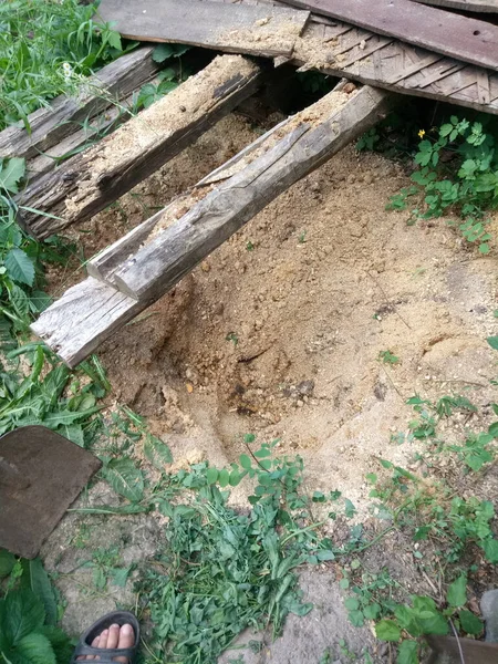 Kır evimdeki yataklar salatalık, domates, çilek. Ve sadece ot, çiçekler ve daha fazlası..