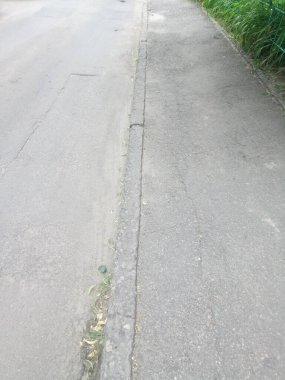 Etrafta bir sürü farklı şey görüyoruz. Bu bizim hayatımız, bizim dünyamız. Bizim için her zamanki gibi. Gerisi için yeni bir bakış açısı..