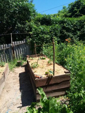 Etrafta bir sürü farklı şey görüyoruz. Bu bizim hayatımız, bizim dünyamız. Bizim için her zamanki gibi. Gerisi için yeni bir bakış açısı..