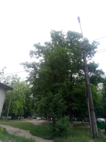 Etrafta bir sürü farklı şey görüyoruz. Bu bizim hayatımız, bizim dünyamız. Bizim için her zamanki gibi. Gerisi için yeni bir bakış açısı..