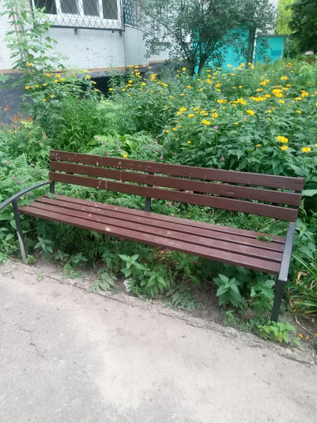 Etrafta bir sürü farklı şey görüyoruz. Bu bizim hayatımız, bizim dünyamız. Bizim için her zamanki gibi. Gerisi için yeni bir bakış açısı..