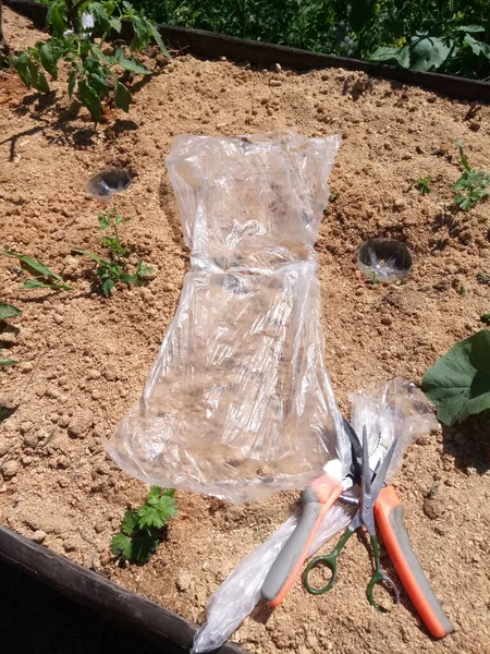 Etrafta bir sürü farklı şey görüyoruz. Bu bizim hayatımız, bizim dünyamız. Bizim için her zamanki gibi. Gerisi için yeni bir bakış açısı..