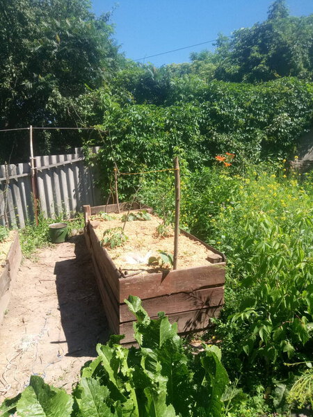 We see a lot of different things around. This is our life, our world. For us its usual. For the rest - a new look at things.