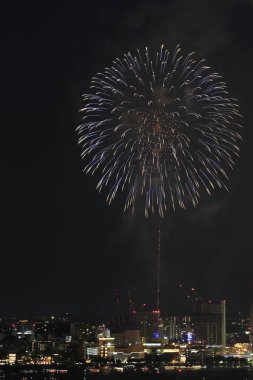 Fireworks uygulamasında Yokohama bağlantı noktası Festivali, Kanagawa, Japonya