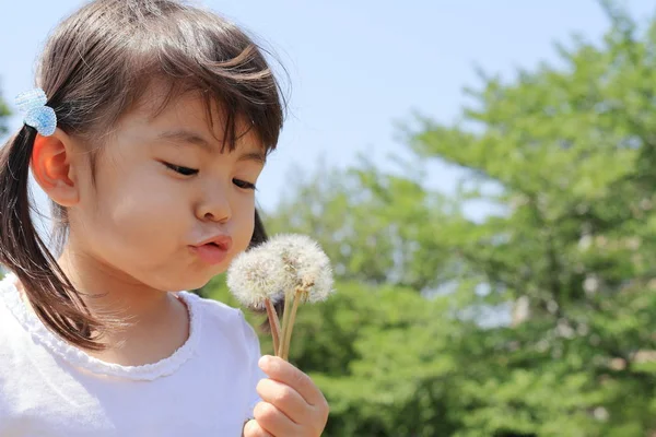 Japon Kız Mavi Gökyüzü Altında Yaşında Karahindiba Tohum Üfleme — Stok fotoğraf