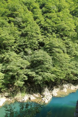 Dakigaeri gorge içinde Senboku, Akita, Japan
