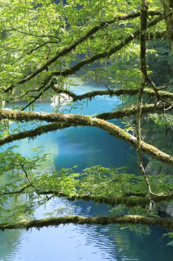 Dakigaeri gorge içinde Senboku, Akita, Japan
