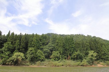 Mogami Nehri ve Mogami gorge Yamagata, Japonya