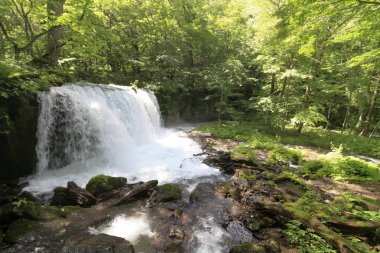 Choshi falls Oirase dağ dere: Aomori, Japan