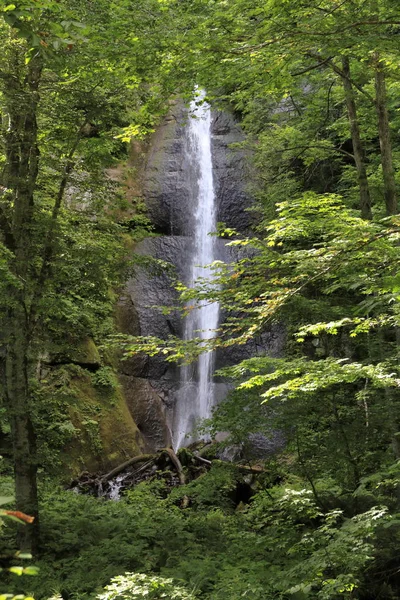 Shiranuno Falls Oirase Horského Potoka Aomori Japonsko — Stock fotografie