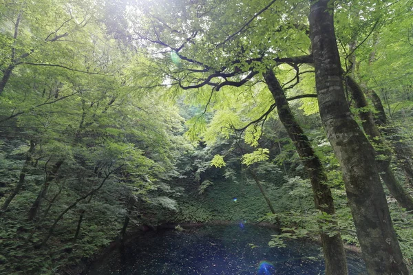 Lago Aoike Shirakami Sanchi Aomori Japão — Fotografia de Stock