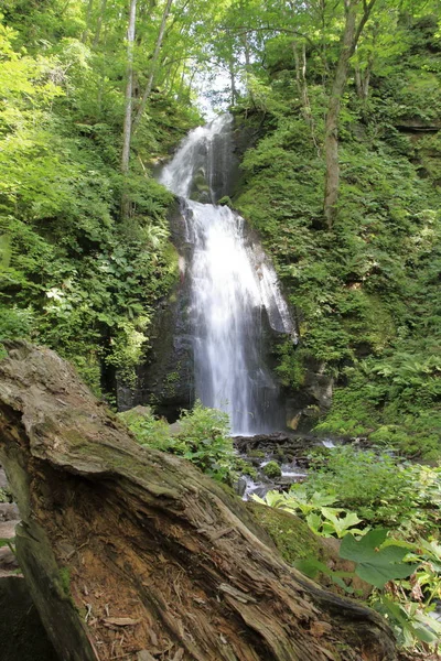 Кумойский Водопад Горного Ручья Оирасэ Аомори Япония — стоковое фото