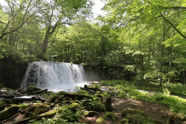 Choshi Cai Córrego Montanha Oirase Aomori Japão — Fotografia de Stock