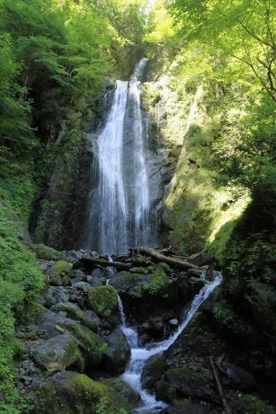 Chute Mikaeri Dans Gorge Dakigaeri Senboku Akita Japon — Photo