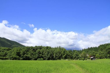 Tono, Kuzey Japonya (yaz kırsal sahne)