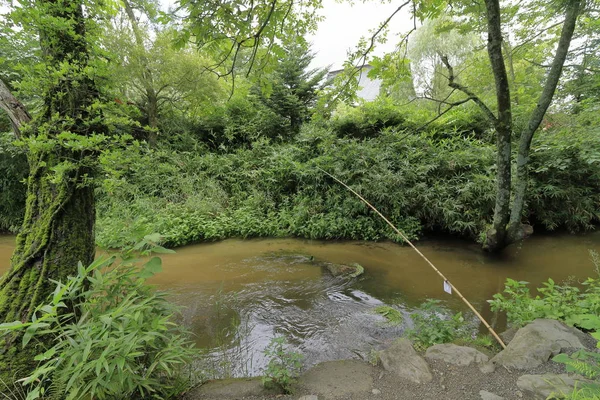 Piscine Kappabuchi Tono Iwate Japon — Photo