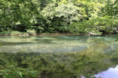 Oirase dağ dere Towada, Aomori, Japonya