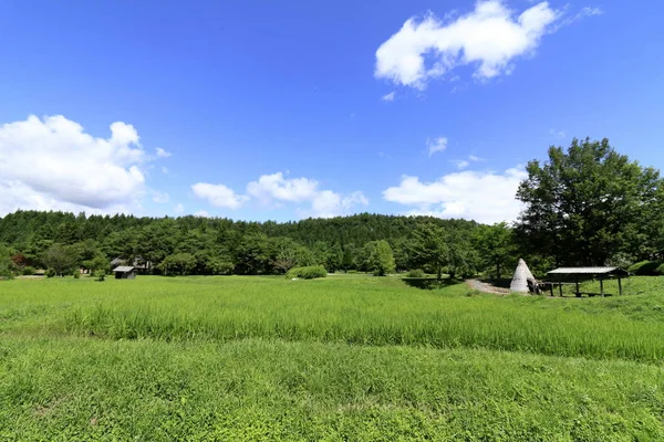 Cena Rural Tono Norte Japão Verão — Fotografia de Stock