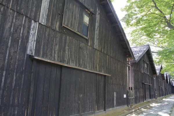 Sankyo Ambar Zelkova Ağaçlarda Sakata Yamagata Japonya — Stok fotoğraf