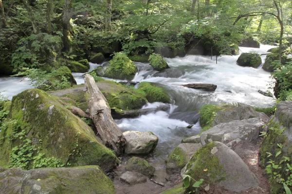 Corriente Ashura Del Arroyo Montañoso Oirase Aomori Japón —  Fotos de Stock