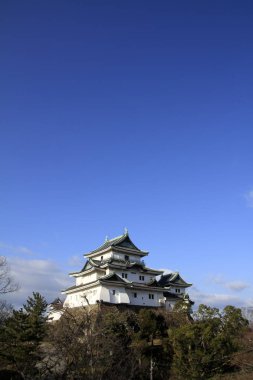 Wakayama kale Wakayama City, Japonya