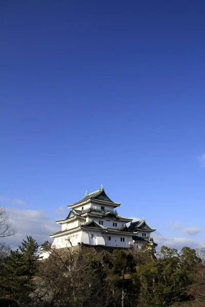 Wakayama Zamek Mieście Wakayama Japonia — Zdjęcie stockowe