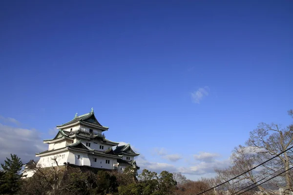 Wakayama castle in Wakayama city, Japan — Stock Photo, Image