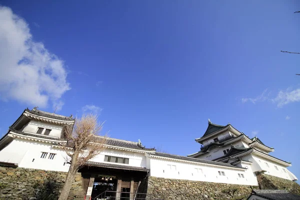 Wakayama kasteel in de stad van de prefectuur Wakayama, Japan — Stockfoto