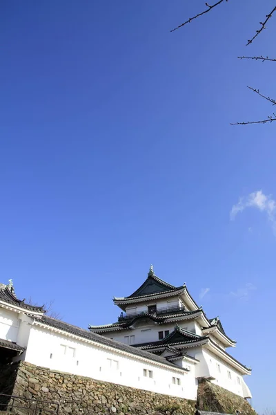 Wakayama kasteel in de stad van de prefectuur Wakayama, Japan — Stockfoto