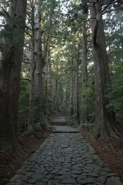 Daimon slope of Kumano Kodo pilgrimage routes in Wakayama, Japan — Stock Photo, Image
