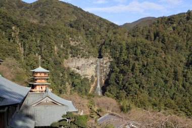 Nachi düşer ve üç hikaye pagoda Seiganto Ji: Wakayama, Japan