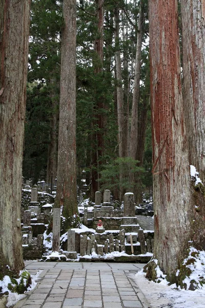 Okunoin temple in Koya, Wakayama, Japan (snow scene) — Stock Photo, Image